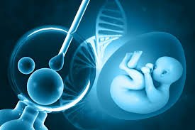 Infertility Care